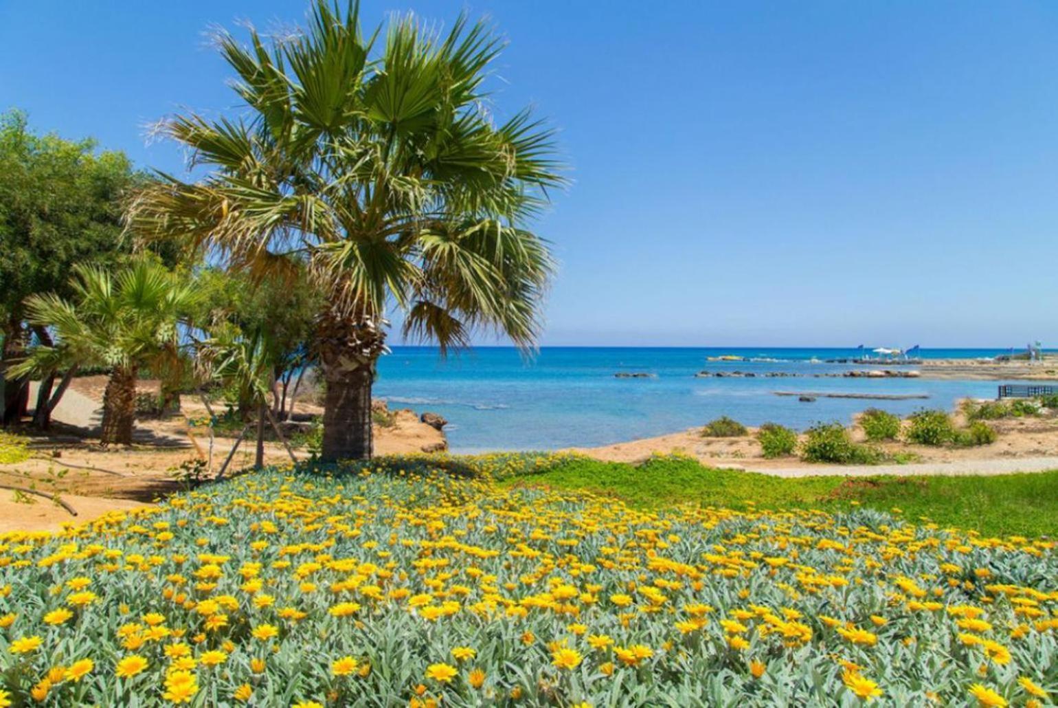 Villa Constantinos Kato Yialia Exteriér fotografie